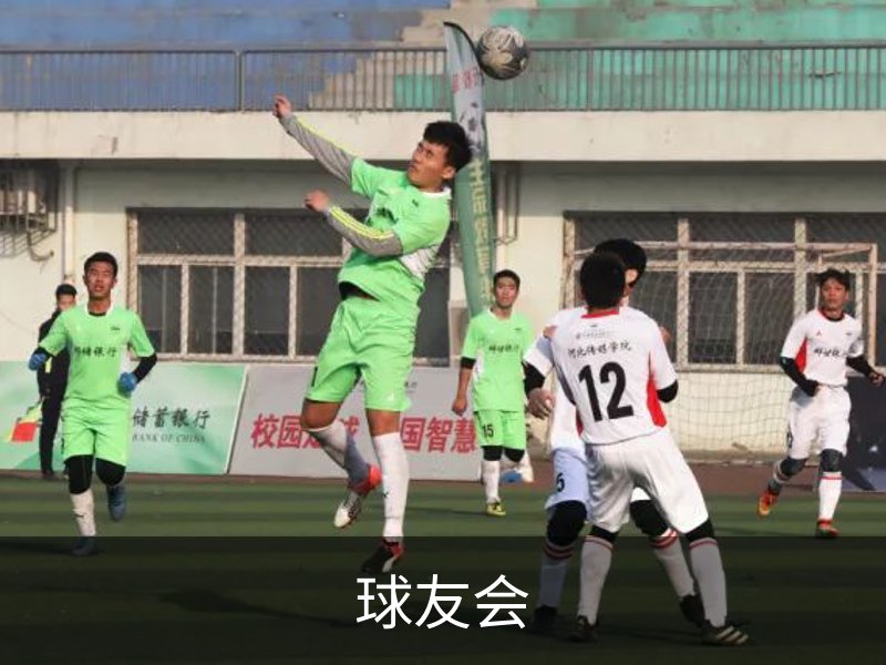 球友会概况